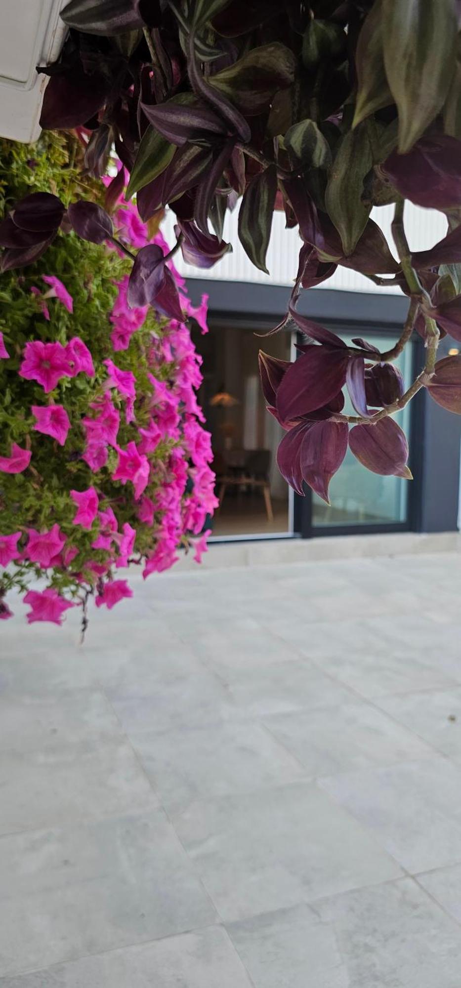 Albayda Garden Lejlighed Granada Eksteriør billede